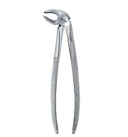 Fig. 24. Lower Molars, Left