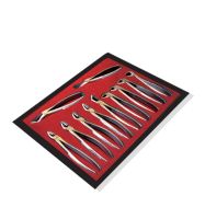 Extraction Forceps kit, 11st.