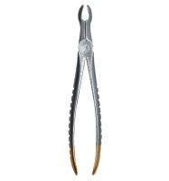 Fig. 67A. Upper Molars-For Upper Wisdom Teeth