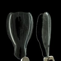 Anterior Matrix A101
