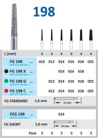 FG198X