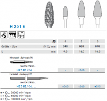 h251e