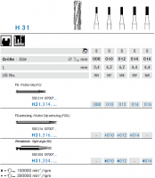 h31