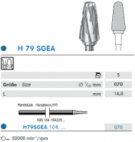 h79sgea1